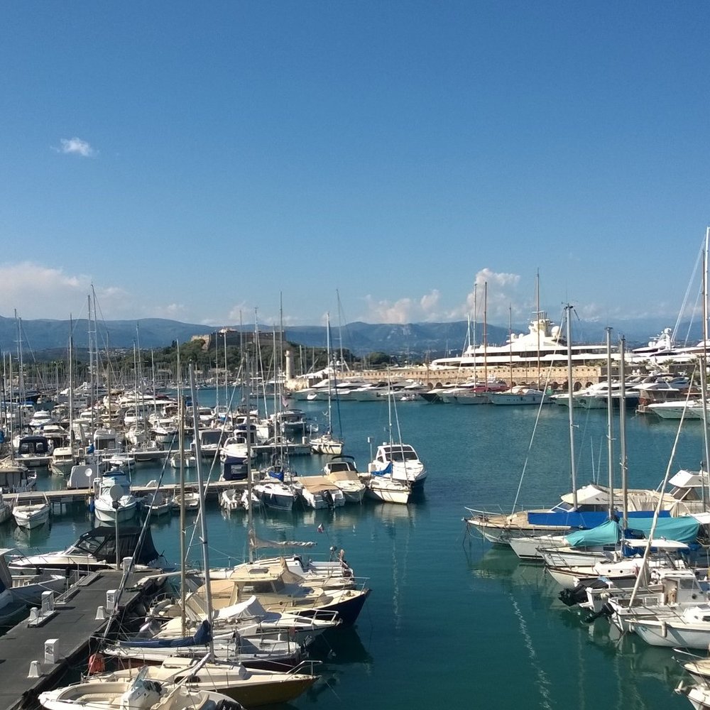 Meet your Posher, Yelena